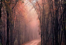 8868体育：亚冬会｜从阿拉木图到哈尔滨，他们在新春祝福中启程.